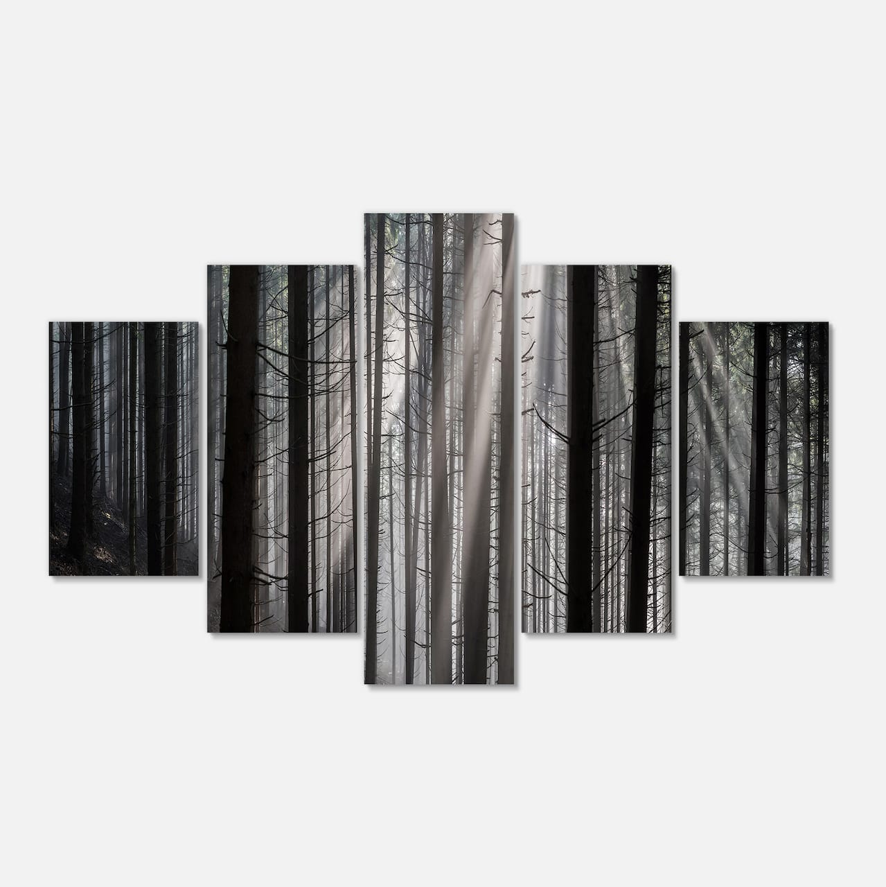 Designart - Sunbeams Peeking Through Dark Forest - Forest Canvas Art Print